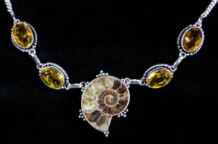 Fossil Ammonite Necklace #3587